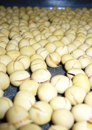 多分いちばん簡単な炒り大豆の作り方 かも-レシピのメイン写真