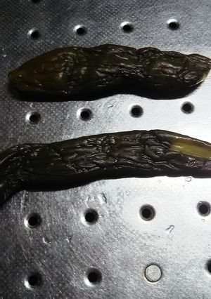 漬物器で作るおばあちゃんのキュウリの古漬-レシピのメイン写真