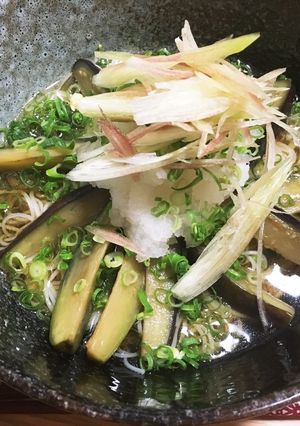 茄子とおろしのサッパリ素麺-レシピのメイン写真
