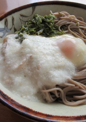 めかぶと長いもでぶっかけそば-レシピのメイン写真