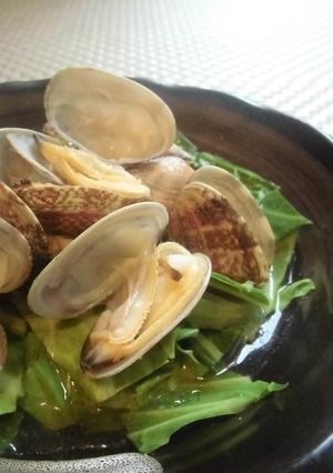 ど簡単！レンジで酒蒸しアサリキャベツ-レシピのメイン写真