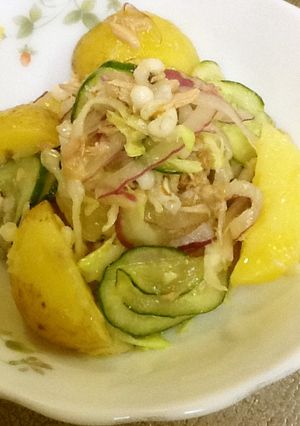 はと麦と野菜、シーチキンサラダ。-レシピのメイン写真