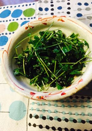 豆苗と海苔の和え物 切るだけ簡単-レシピのメイン写真