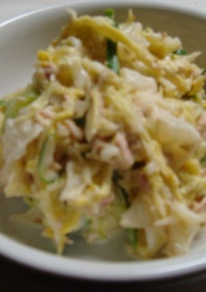 白菜の和風サラダ-レシピのメイン写真