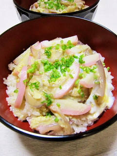 このハゲー丼-レシピのメイン写真