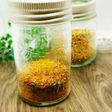 鶏肉用スパイスミックス