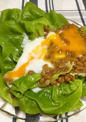 ねばねば納豆ととろーり温泉卵のサラダ♪-レシピのメイン写真