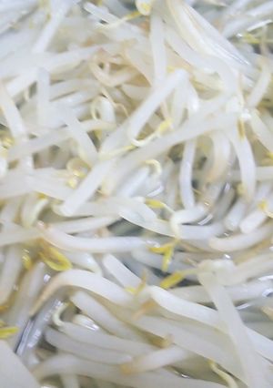 もやしの下準備-レシピのメイン写真