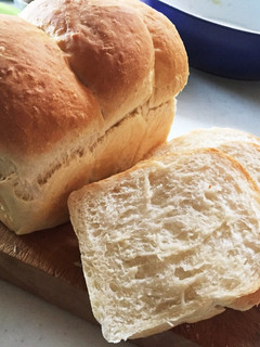 〈犬用〉HBで作る食パン-レシピのメイン写真