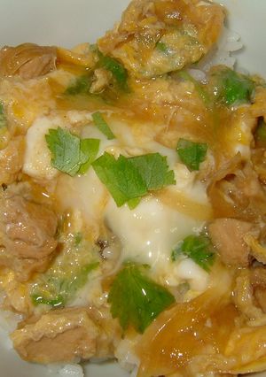 30分あればできる親子丼-レシピのメイン写真