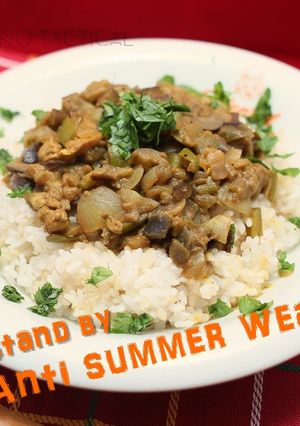 夏野菜のサワーキーマカレー-レシピのメイン写真