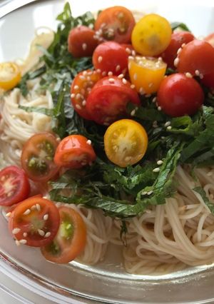 トマトと青じそのあっさりそうめん-レシピのメイン写真