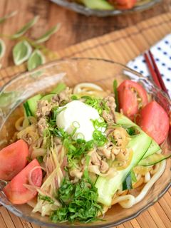 豚肉と夏野菜たっぷり冷やしうどん-レシピのメイン写真
