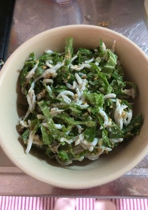 超簡単！シソ大量消費 シソが主役しらす丼-レシピのメイン写真