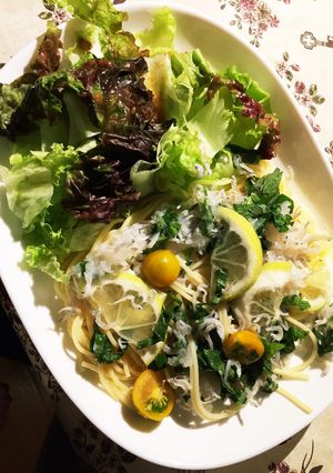 シラスレモンおろしのサッパリ冷製パスタ-レシピのメイン写真