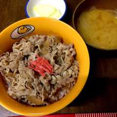 A picture of 豚丼.