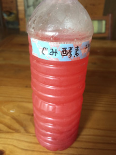 ぐみの実の酵素-レシピのメイン写真