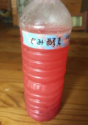 ぐみの実の酵素-レシピのメイン写真