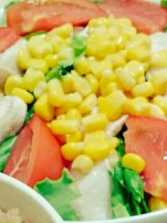 つるん!鶏むね肉のサラダ-レシピのメイン写真