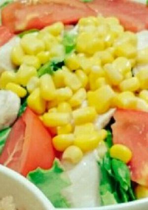 つるん！鶏むね肉のサラダ-レシピのメイン写真