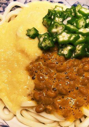 ネバネバうどん-レシピのメイン写真