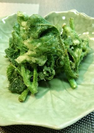 カボチャの新芽の天ぷら？-レシピのメイン写真
