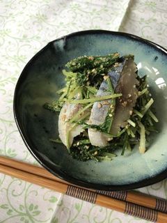 ワサビでサッパリ★しめ鯖と水菜の胡麻和え-レシピのメイン写真