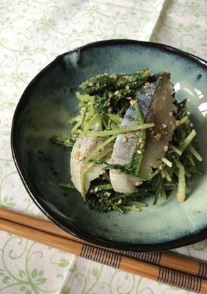 ワサビでサッパリ★しめ鯖と水菜の胡麻和え-レシピのメイン写真