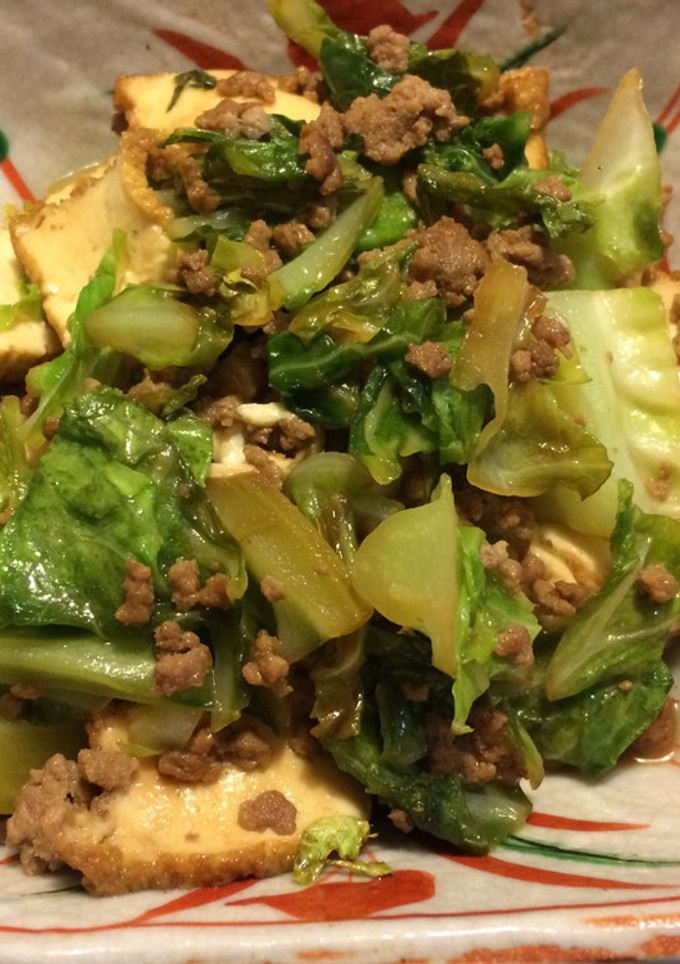キャベツと厚揚げのひき肉炒め-レシピのメイン写真