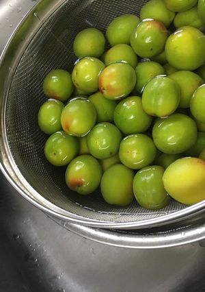 はじめての梅ジュース-レシピのメイン写真