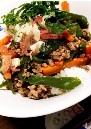 常備菜にも♡夏も食欲UP☆簡単挽肉炒め丼-レシピのメイン写真