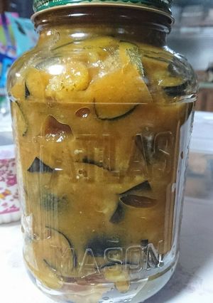 辛子茄子(あきみちゃんちの)-レシピのメイン写真