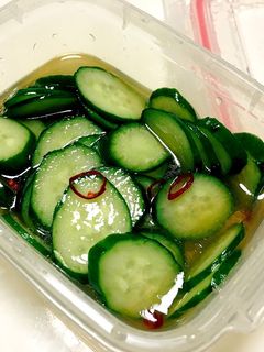 おつまみ*お弁当にぴったり浅漬け!-レシピのメイン写真