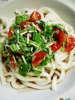 簡単美味しい冷やしうどん-レシピのメイン写真