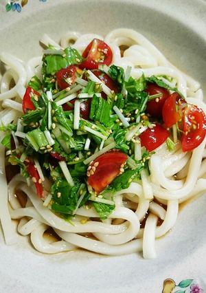 簡単美味しい冷やしうどん-レシピのメイン写真