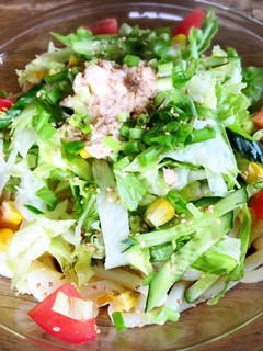 サラダうどん-レシピのメイン写真