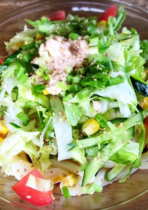サラダうどん-レシピのメイン写真