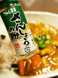 カレーに山椒-レシピのメイン写真