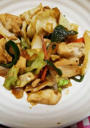 とり肉の味噌炒め-レシピのメイン写真