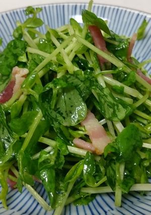簡単うまうま！ 豆苗ベーコンサラダ-レシピのメイン写真