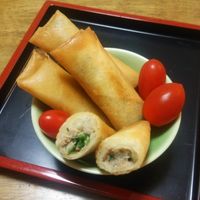 基本からアレンジまで！思わずつくりたくなる「春巻 ツナ 玉ねぎ」の