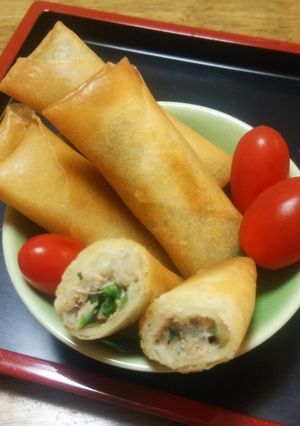 ツナ缶と玉ねぎ ほうれん草の春巻-レシピのメイン写真