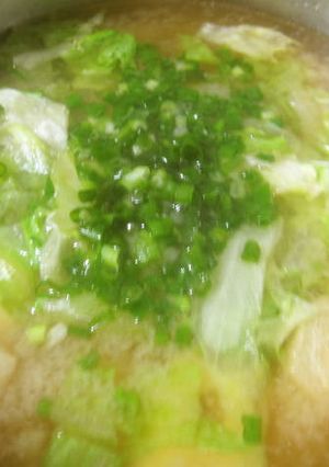 レタスのみそ汁-レシピのメイン写真