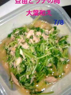 簡単だけど美味しい豆苗とツナの梅大葉あえ-レシピのメイン写真