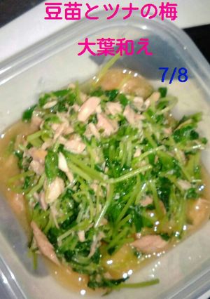 簡単だけど美味しい豆苗とツナの梅大葉あえ-レシピのメイン写真