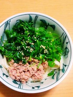 パクチーの冷やしうどん-レシピのメイン写真