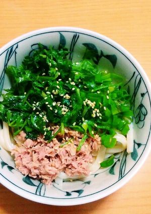 パクチーの冷やしうどん-レシピのメイン写真