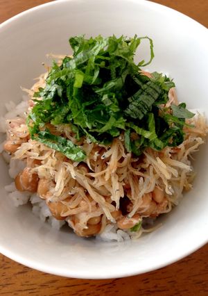 ちりめん納豆✨簡単絶品丼♪-レシピのメイン写真