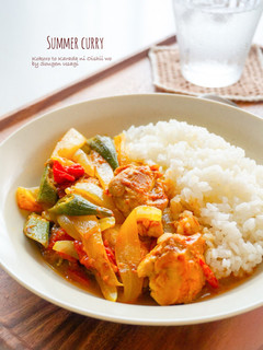 夏野菜と鶏肉☆即席和風カレー-レシピのメイン写真