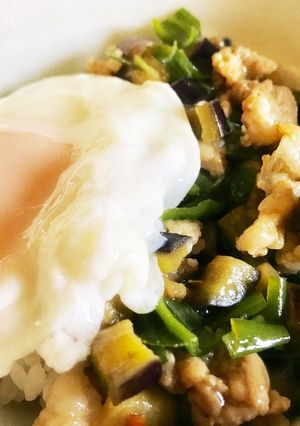 ずぼら飯〜ズボラ丼〜-レシピのメイン写真